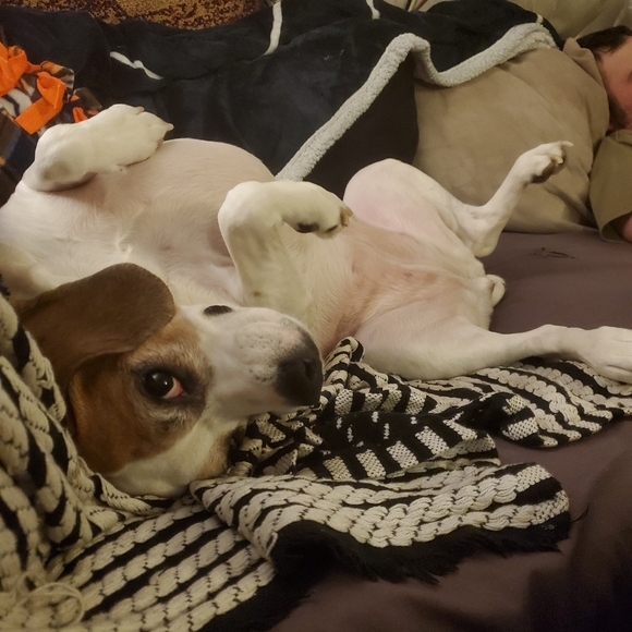 Meet your Posher, Ally♡ - Picture 6 of 8